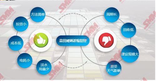 鹽湖鋰資源 稟賦優勢、提鋰技術趨勢與資源再生利用