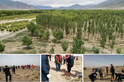 馳騁戈壁，守護生靈 奇瑞汽車科考公益行動與資源再生技術研發的雙重使命